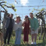 1 experience the minoan grapes at a local vineyard Experience the Minoan Grapes at a Local Vineyard