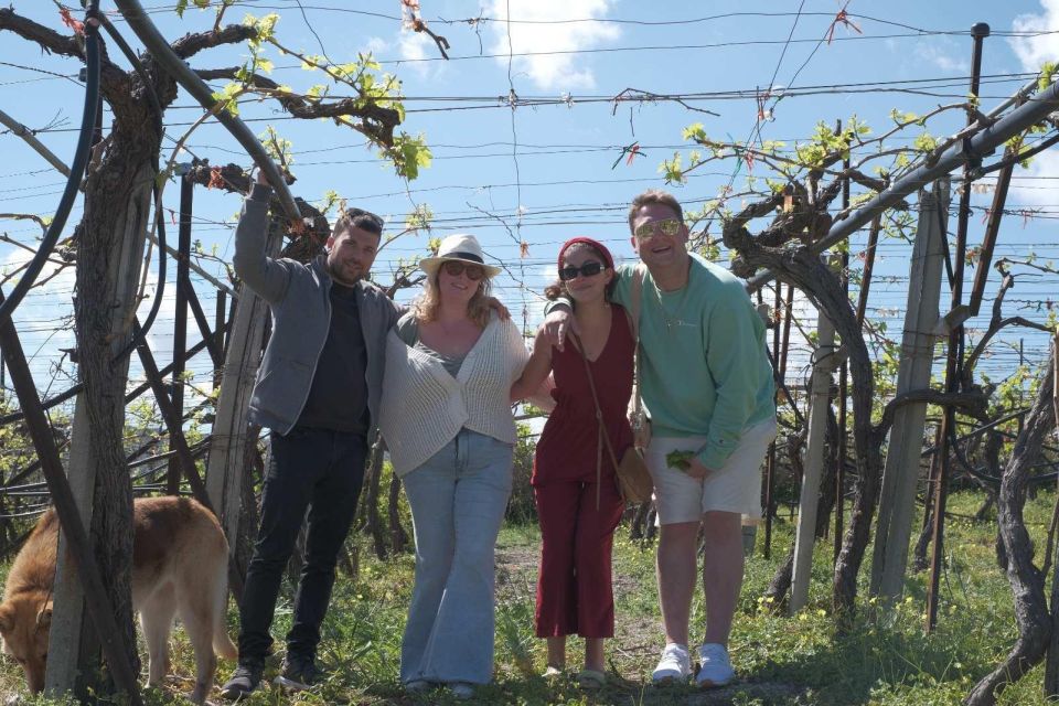 Experience the Minoan Grapes at a Local Vineyard