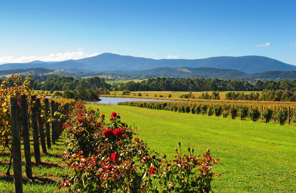 1 experience yarra valley a tailored private wine journey 2 Experience Yarra Valley: a Tailored Private Wine Journey