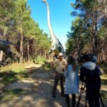 1 family day trip to dinosaurs park obidos private tour from lisbon Family Day Trip to Dinosaurs Park & Óbidos - Private Tour From Lisbon