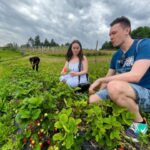 1 farm stay experience dozza private day tour from bologna Farm Stay Experience & Dozza - Private Day Tour From Bologna