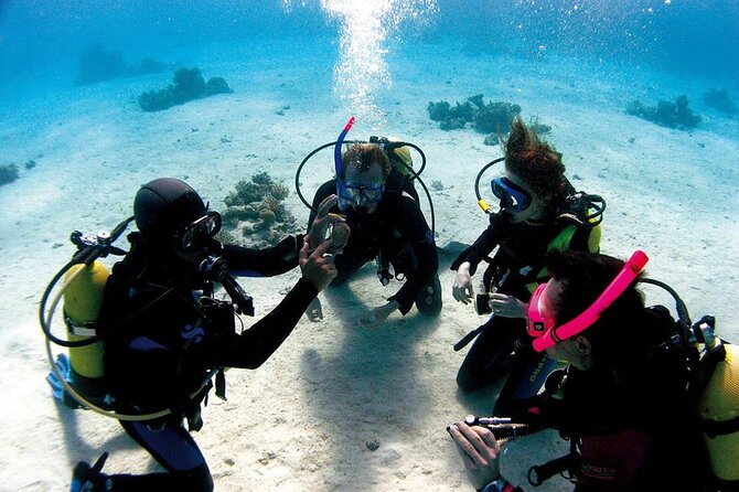 Fethiye Scuba Diving Experience By A Local Expert - Reviews and Ratings for Diving Adventure