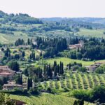 1 florence local hiking tour with wine and lunch Florence: Local Hiking Tour With Wine and Lunch