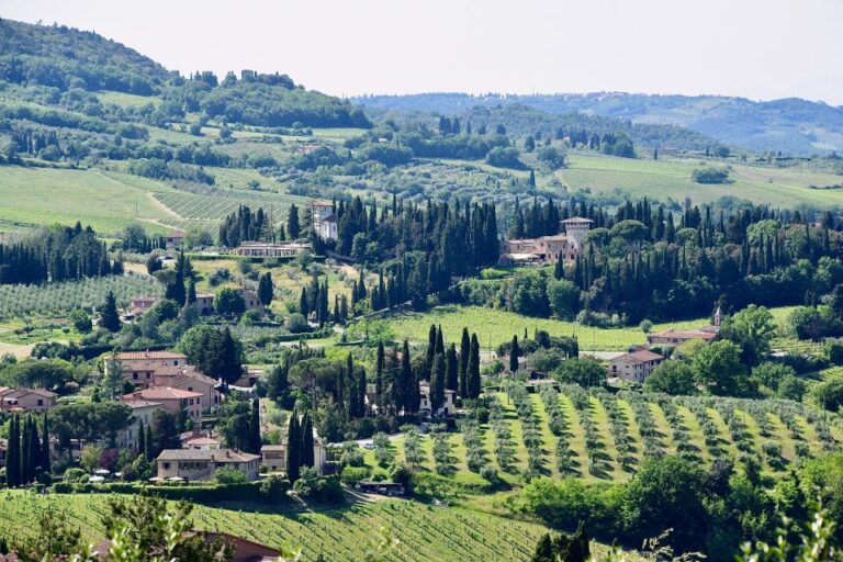 Florence: Local Hiking Tour With Wine and Lunch