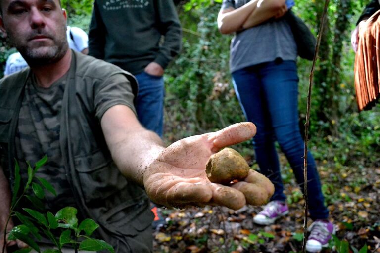 Florence: Truffle Hunting Tour, Wine Tasting, and Lunch