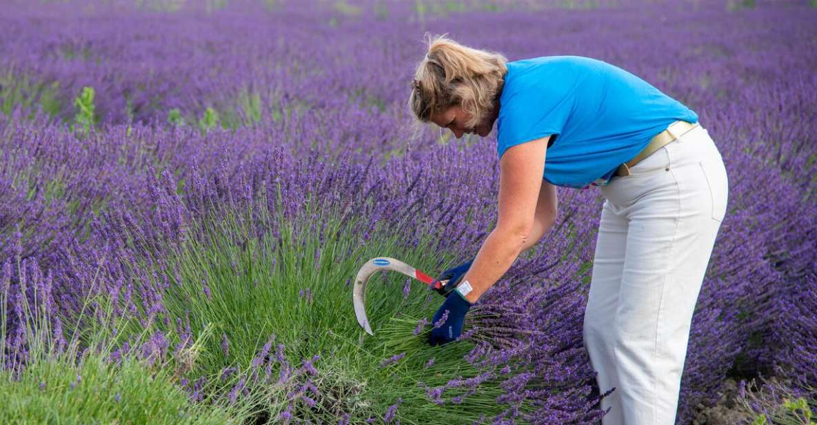 Flowers Picking and Essential Oil Distillation Workshop - Language Options