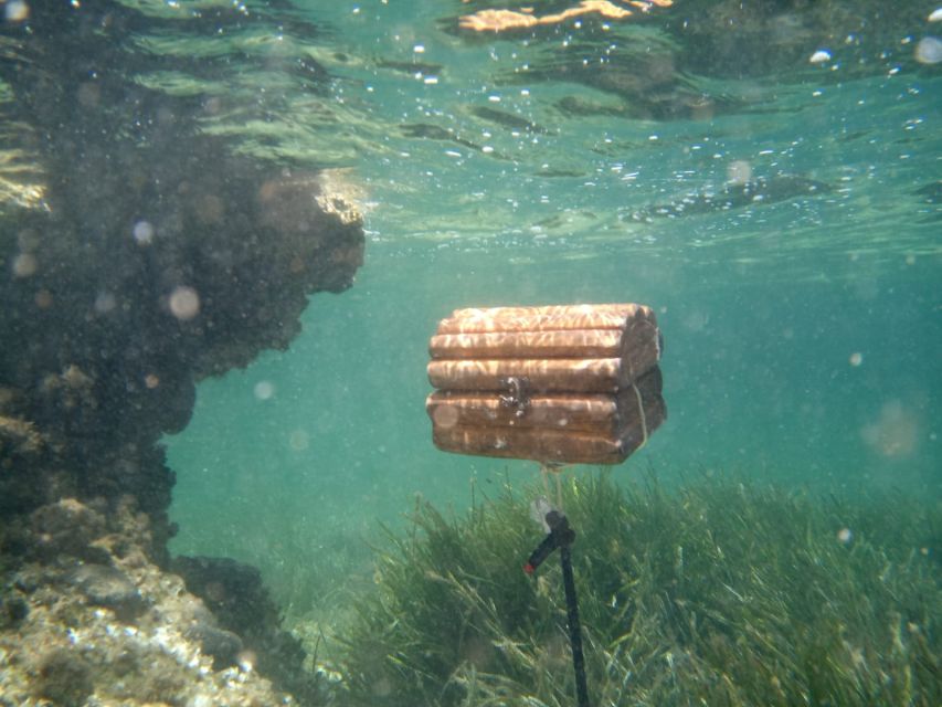 Fornells Bay: Kayak Tour With Treasure Hunt From Ses Salines - Activity Details