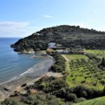 1 from athens aegina island e bike tour with ferry tickets From Athens: Aegina Island E-Bike Tour With Ferry Tickets