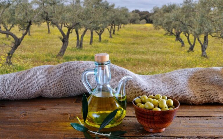 From Athens: Olive Oil Production & Wine Private Day Trip