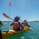 1 from auckland browns island motukorea sea kayak tour From Auckland: Browns Island Motukorea Sea Kayak Tour