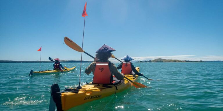 From Auckland: Browns Island Motukorea Sea Kayak Tour
