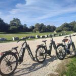 1 from avignon full day e bike tour in the luberon region From Avignon: Full-Day E-Bike Tour in the Luberon Region