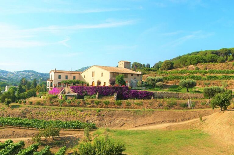 From Barcelona: Alella Wine Tour by Electric Bike