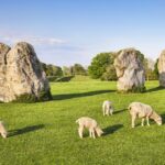 1 from bath stonehenge the cotswolds day tour with entry From Bath: Stonehenge & the Cotswolds Day Tour With Entry