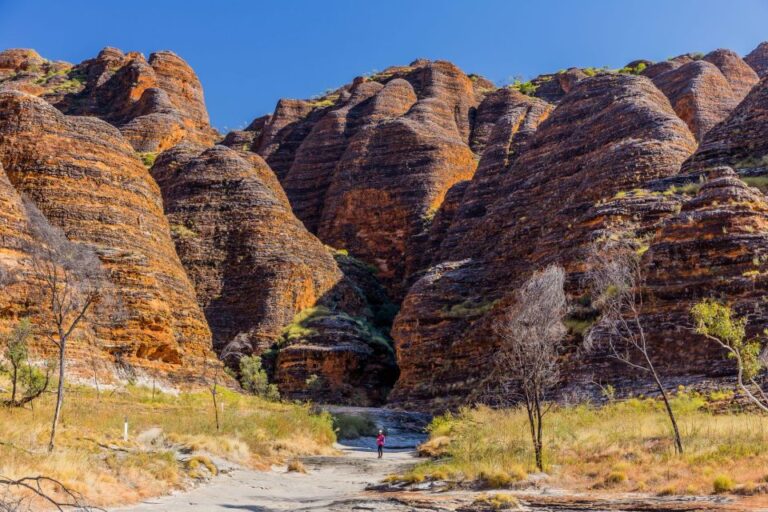 From Broome: Bungle Bungle Explorer Scenic Flight