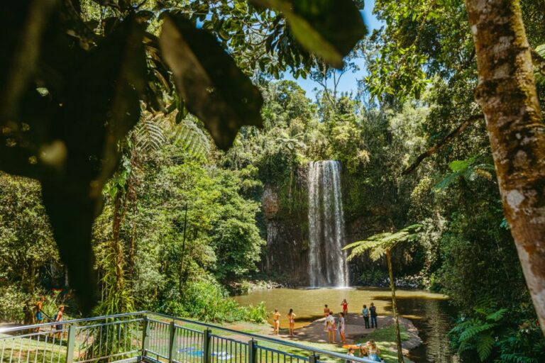 From Cairns: Atherton Tableland Wilderness Tour With Lunch