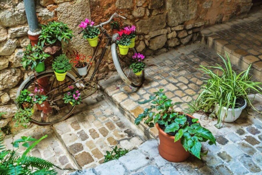 From Cannes: Beautiful Hilltop Villages on French Riviera