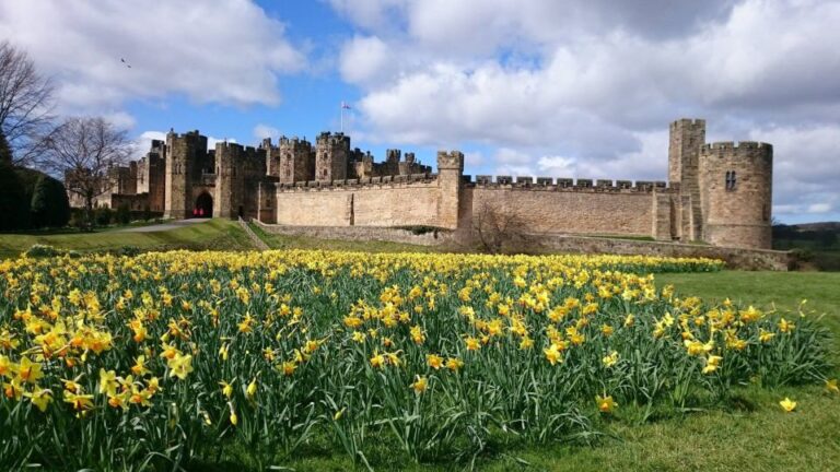 From Edinburgh: Alnwick Castle and Scottish Borders Day Tour