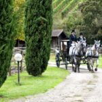 1 from florence carriage ride in chianti hills with lunch From Florence: Carriage Ride in Chianti Hills With Lunch