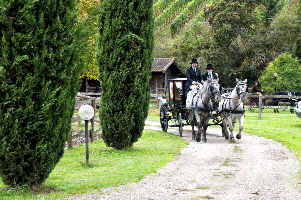 1 from florence carriage ride in chianti hills with lunch From Florence: Carriage Ride in Chianti Hills With Lunch