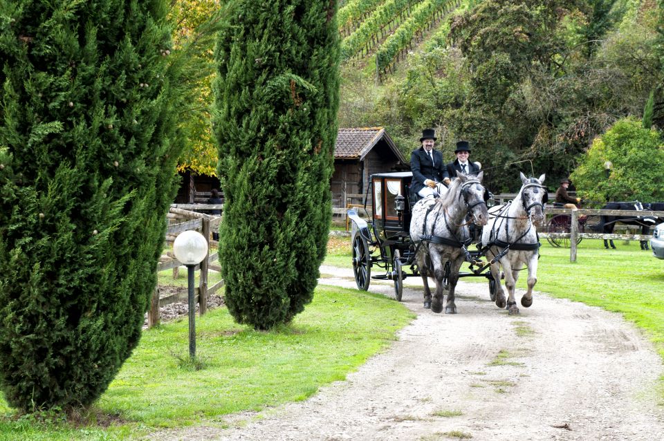 From Florence: Carriage Ride in Chianti Hills With Lunch