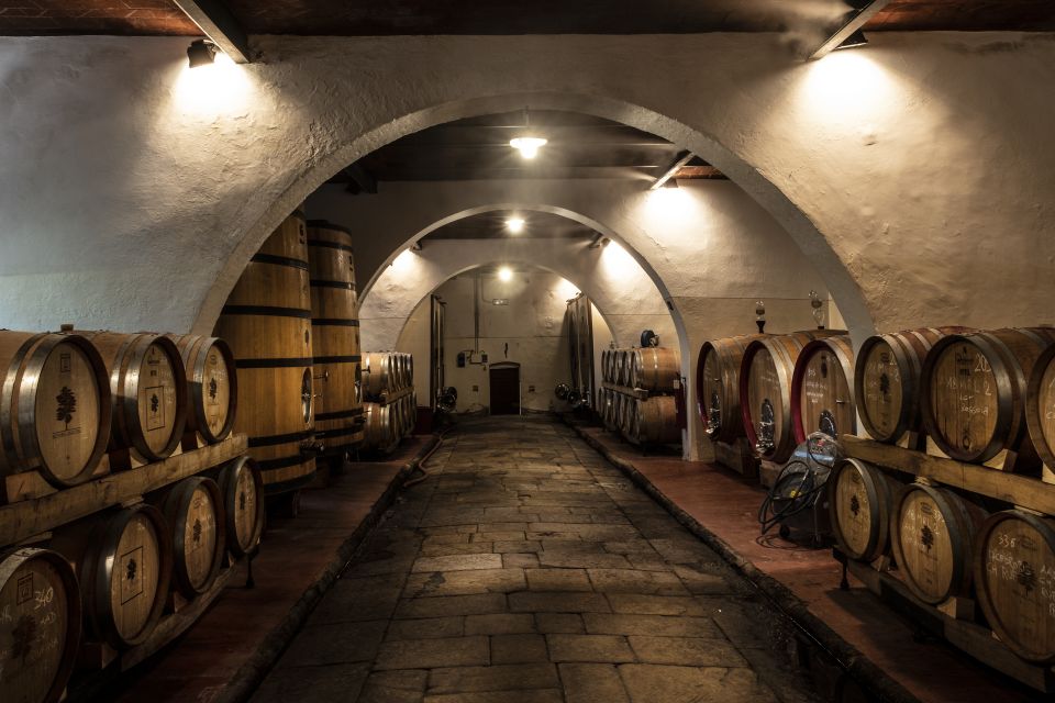 From Florence: Chianti Rufina Private Tour And Food Tasting