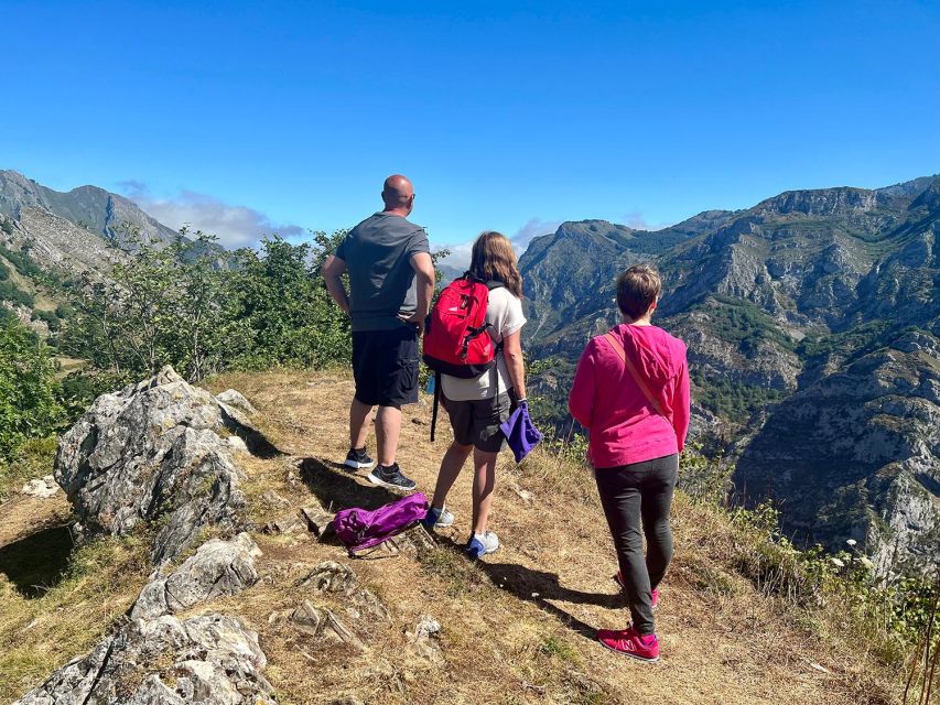 From Gijón or Oviedo: Ponga Natural Park Day Trip