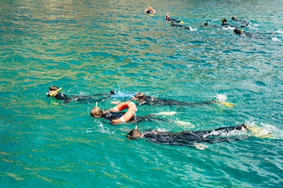 1 from lestartit snorkeling trip to the medes islands From L'Estartit: Snorkeling Trip to the Medes Islands