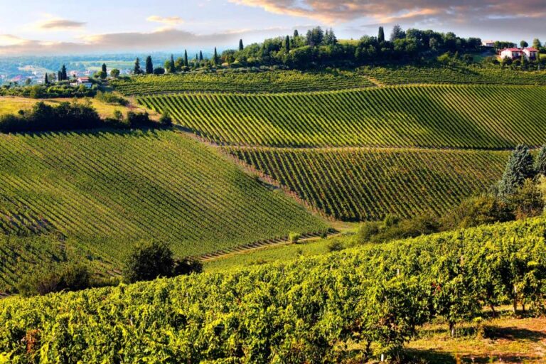 From Livorno: Siena, San Gimignano & Chianti Wine Excursions