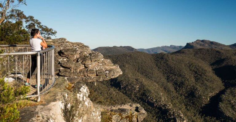 From Melbourne: Grampians National Park & Kangaroos