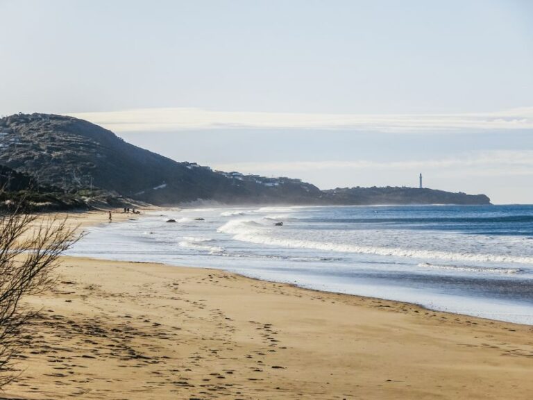 From Melbourne: Great Ocean Road, 12 Apostles, Wildlife Tour