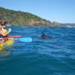 1 from noosa dolphin sea kayaking and beach 4x4 tour From Noosa: Dolphin Sea Kayaking and Beach 4X4 Tour