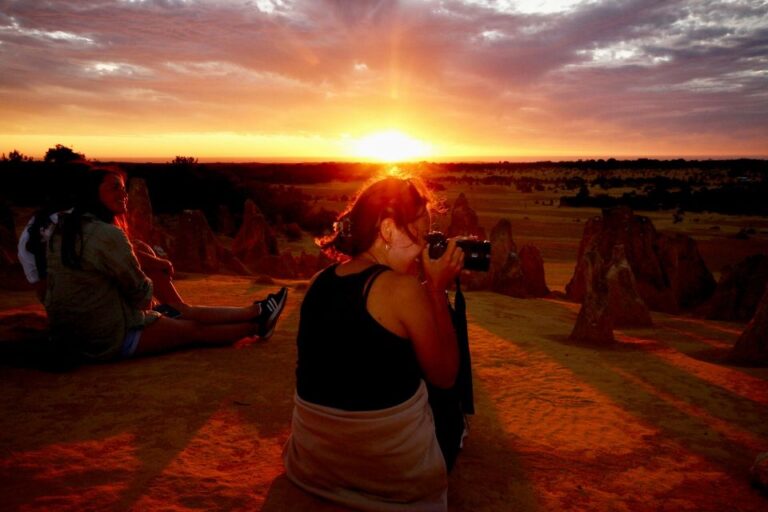 From Perth: Pinnacles Sunset and Stargazing Tour With Dinner