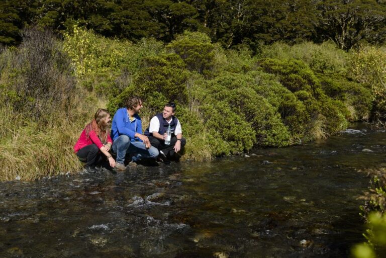 From Queenstown: Milford Sound Full-Day Tour With Lunch