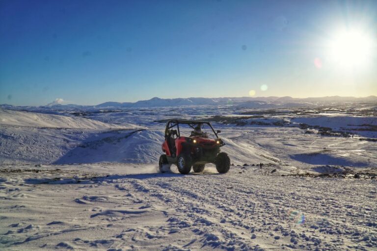 From Reykjavik: Buggy & Whale Watching Adventure