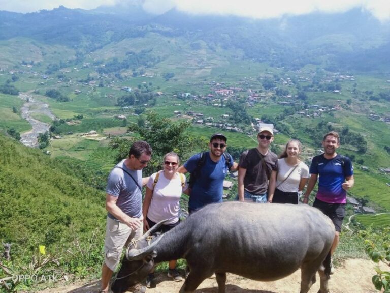 From Sapa : 1 Day Amazing Sapa Trek to Terrace Rice Field