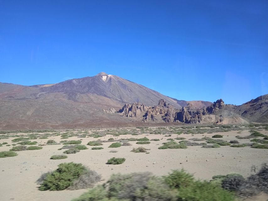 From Tenerife: Teide National Park Guided Day Trip by Bus