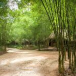 1 full day cu chi tunnels and mekong delta guided tour Full Day Cu Chi Tunnels and Mekong Delta Guided Tour