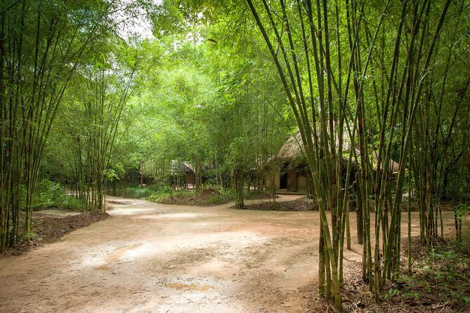 Full Day Cu Chi Tunnels and Mekong Delta Guided Tour