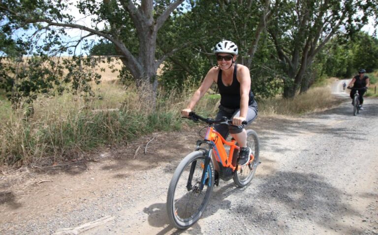 Full Day Ebike Tour – Karangahake Gorge NZ