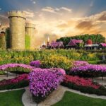 1 full day guided dubai private city tour with miracle garden tickets Full Day Guided Dubai Private City Tour With Miracle Garden Tickets