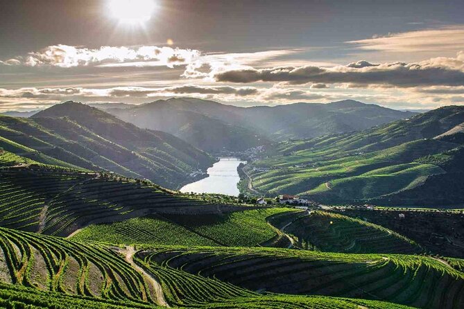 Full Day Tour to Douro Valley From Porto