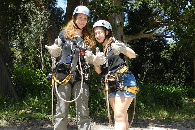 Garden Route Adventure Tour With Forest Canopy Zipline  - Port Elizabeth - Wildlife Encounters