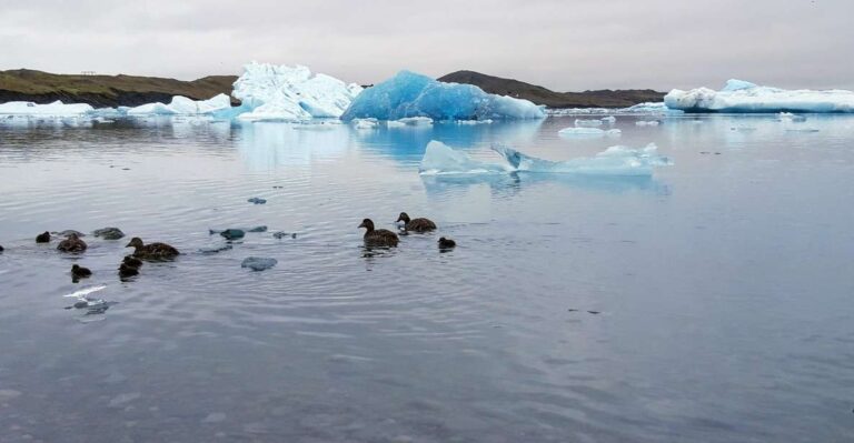 Glacier Lagoon and Diamond Beach Private Tour From Reykjavik