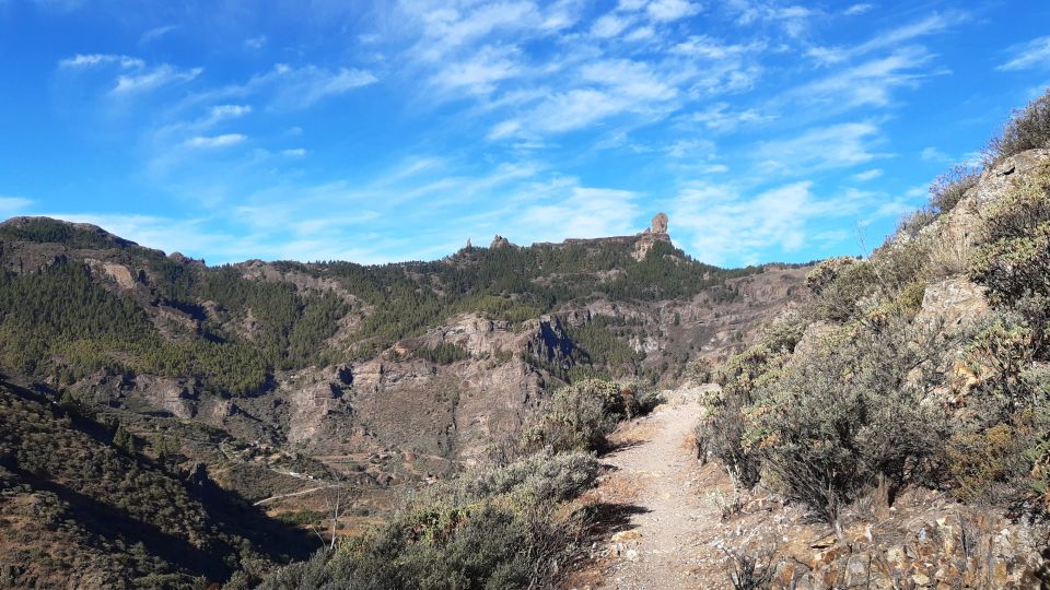 1 gran canaria full day guided hiking with snacks Gran Canaria: Full-Day Guided Hiking With Snacks