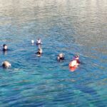 1 gran canaria snorkeling trip Gran Canaria: Snorkeling Trip
