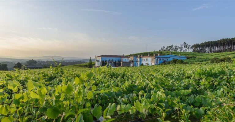 Granbazán Winery: Guided Tour and Wine Tasting