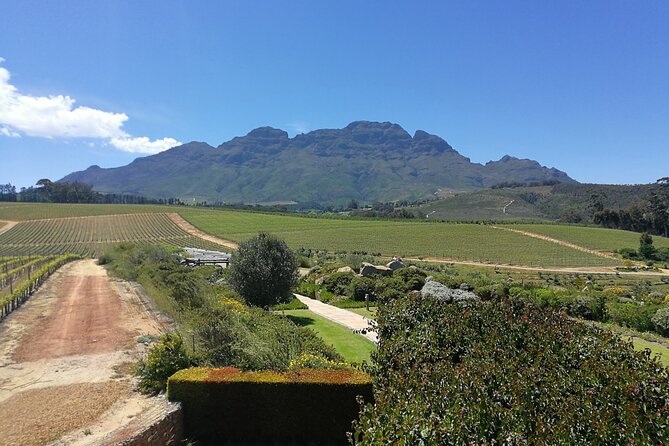 Greatest Private Tours of the Cape Winelands - Scenic Vineyard Tours