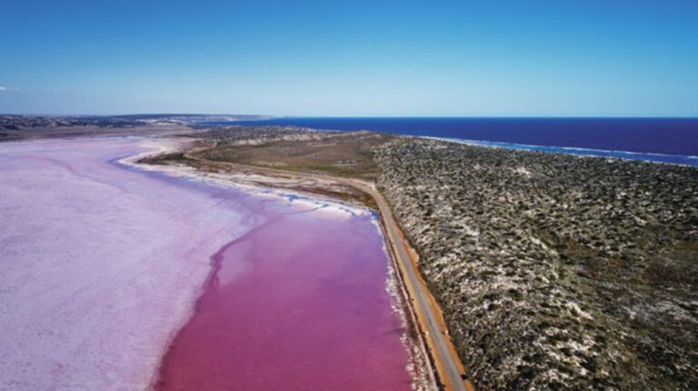 Gregory: Pink Lake Buggy Tour