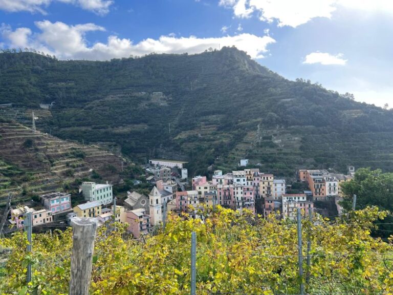 Guided Cinque Terre Hiking Day From Florence